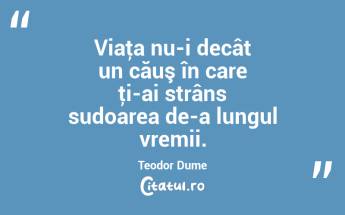 Viaţa nu-i decât un căuş în care ţi-ai strâns sudoarea de-a lungul vremii. Teodor Dume...