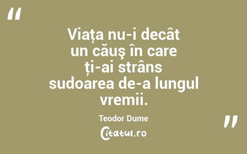 Viaţa nu-i decât un căuş în care ţi-ai strâns sudoarea de-a lungul vremii. Teodor Dume

