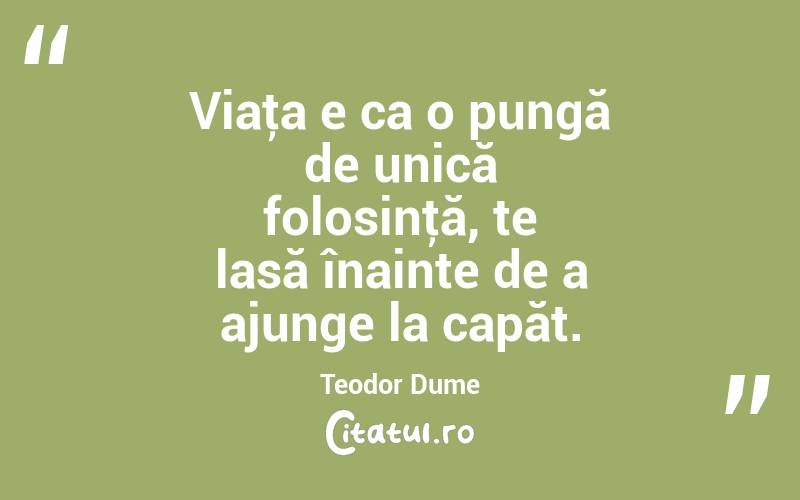 Viaţa e ca o pungă de unică folosinţă, te lasă înainte de a ajunge la capăt. Teodor Dume
