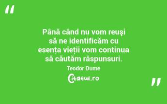 Până când nu vom reuşi să ne identificăm cu esenţa vieţii vom continua să căutăm răspunsuri. Teodor Dume...
