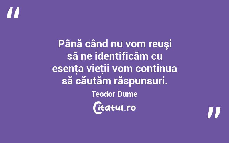 Până când nu vom reuşi să ne identificăm cu esenţa vieţii vom continua să căutăm răspunsuri. Teodor Dume
