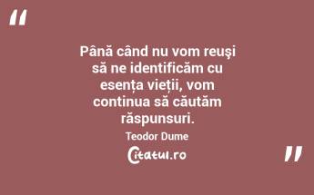 Până când nu vom reuşi să ne identificăm cu esenţa vieţii, vom continua să căutăm răspunsuri. Teodor Dume...