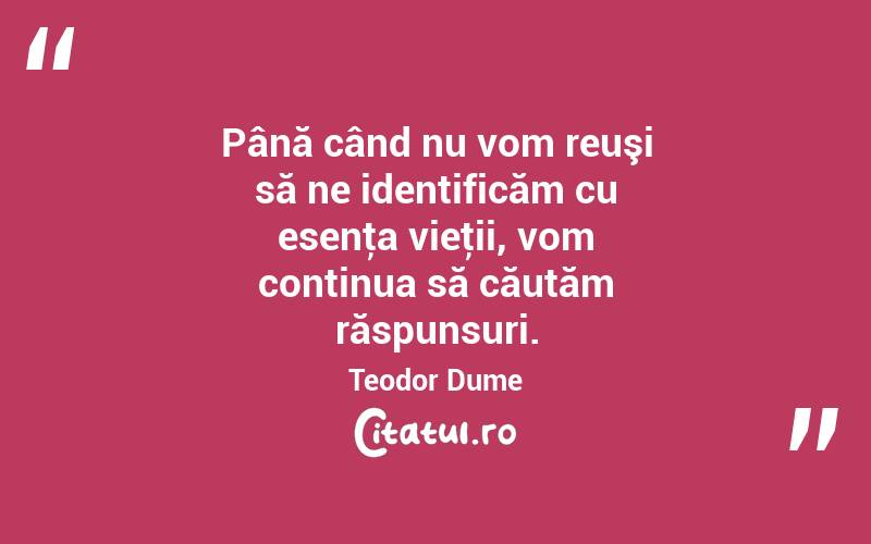 Până când nu vom reuşi să ne identificăm cu esenţa vieţii, vom continua să căutăm răspunsuri. Teodor Dume
