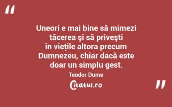 Uneori e mai bine să mimezi tăcerea şi să priveşti în vieţile altora precum Dumnezeu, chiar dacă este doar un simplu gest. Teodor Dume...