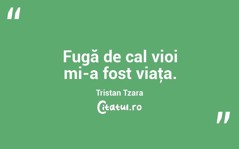 Fugă de cal vioi mi-a fost viaţa. Tristan Tzara
