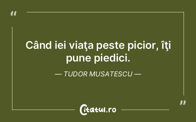 Citat Tudor Musatescu - citate viata