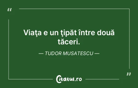 Viaţa e un ţipăt între două tăceri... Viaţa e un ţipăt între două tăceri...