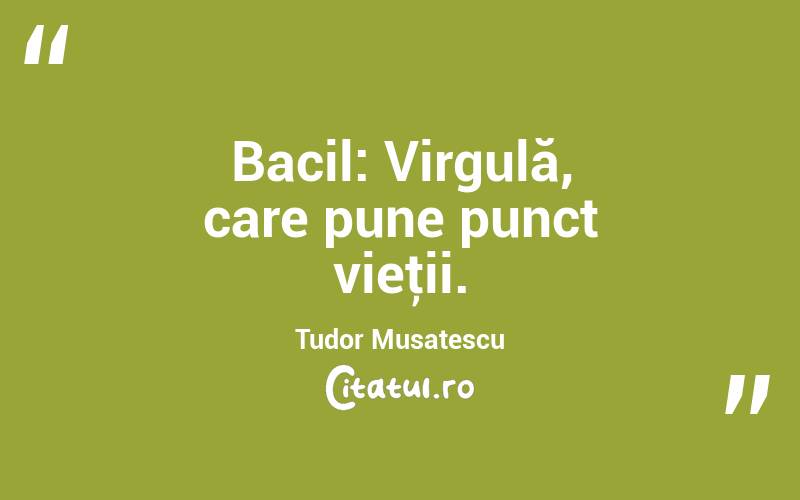 Bacil: Virgulă, care pune punct vieţii. Tudor Musatescu
