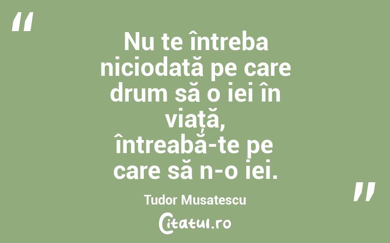 Nu te întreba niciodată pe care drum să o iei în viaţă, întreabă-te pe care să n-o iei. Tudor Musatescu
