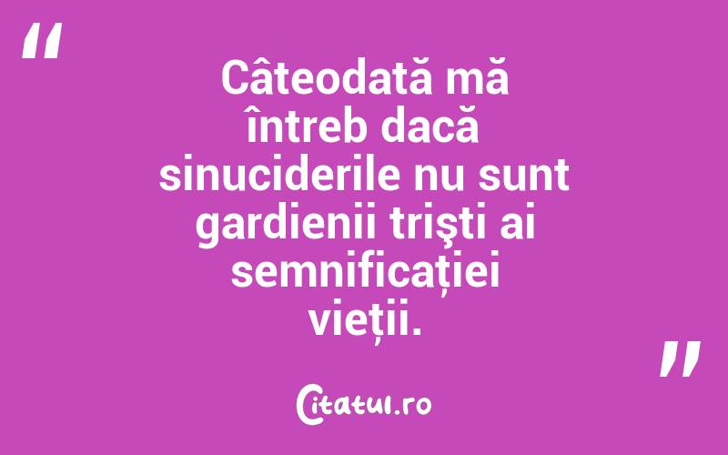 Câteodată mă întreb dacă sinuciderile nu sunt gardienii trişti ai semnificaţiei vieţii. 