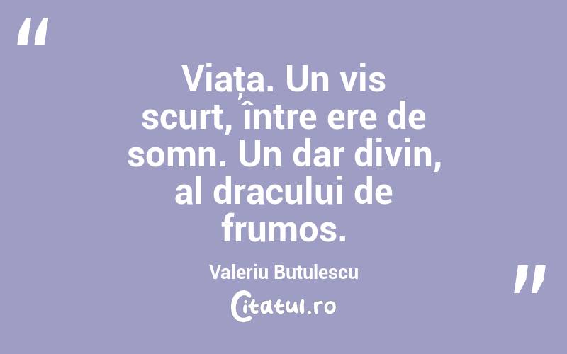 Viaţa. Un vis scurt, între ere de somn. Un dar divin, al dracului de frumos. Valeriu Butulescu