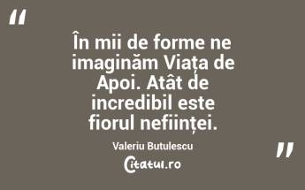 În mii de forme ne imaginăm Viaţa de Apoi. Atât de incredibil este fiorul nefiinţei. Valeriu Butulescu...