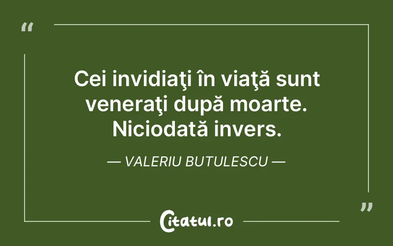 Citat Valeriu Butulescu - citate viata