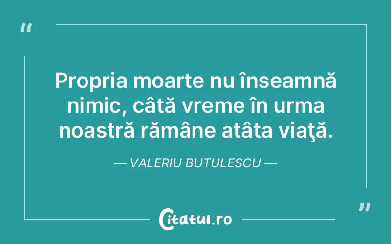 Citat Valeriu Butulescu - citate viata