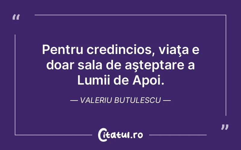 Citat Valeriu Butulescu - citate viata