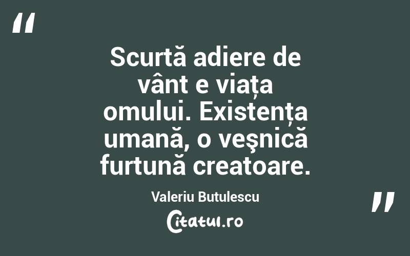 Scurtă adiere de vânt e viaţa omului. Existenţa umană, o veşnică furtună creatoare. Valeriu Butulescu

