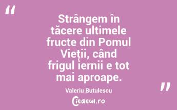 Strângem în tăcere ultimele fructe din Pomul Vieţii, când frigul iernii e tot mai aproape. Valeriu Butulescu...