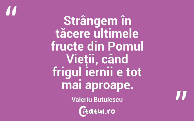 Strângem în tăcere ultimele fructe din Pomul Vieţii, când frigul iernii e tot mai aproape. Valeriu Butulescu