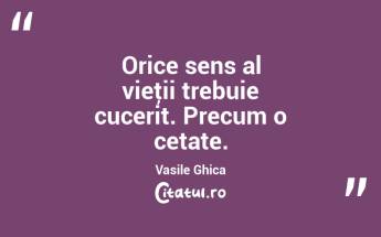 Orice sens al vieţii trebuie cucerit. Precum o cetate. Vasile Ghica...