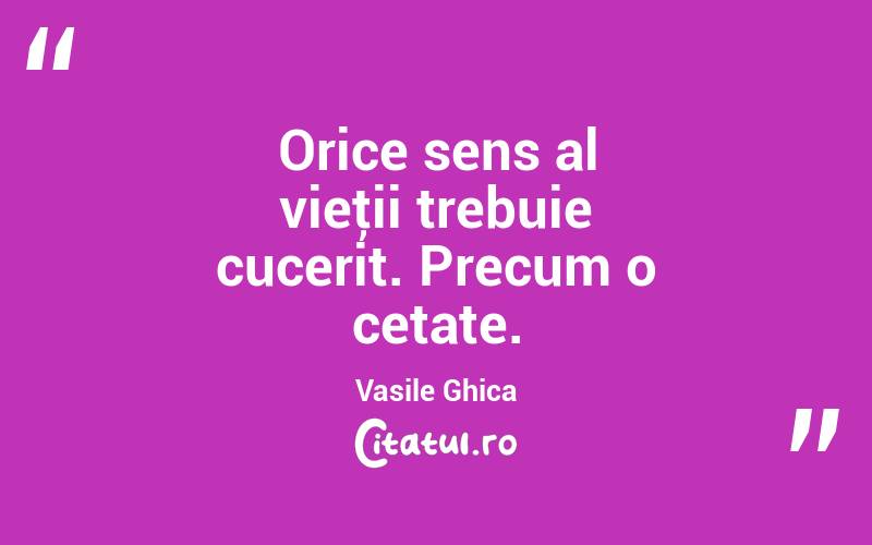 Orice sens al vieţii trebuie cucerit. Precum o cetate. Vasile Ghica
