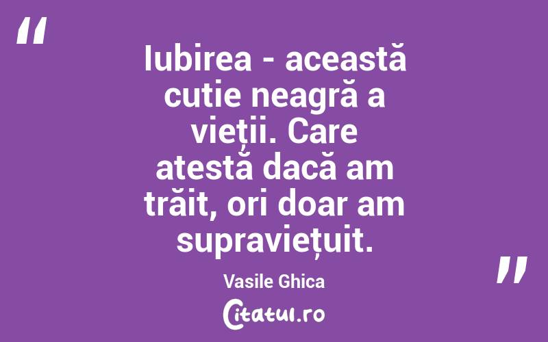 Iubirea - această cutie neagră a vieţii. Care atestă dacă am trăit, ori doar am supravieţuit. Vasile Ghica
