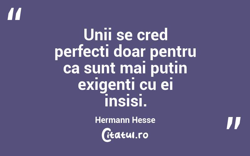 Unii se cred perfecti doar pentru ca sunt mai putin exigenti cu ei insisi. Hermann Hesse
