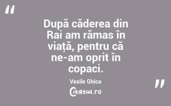 După căderea din Rai am rămas în viaţă, pentru că ne-am oprit în copaci. Vasile Ghica...