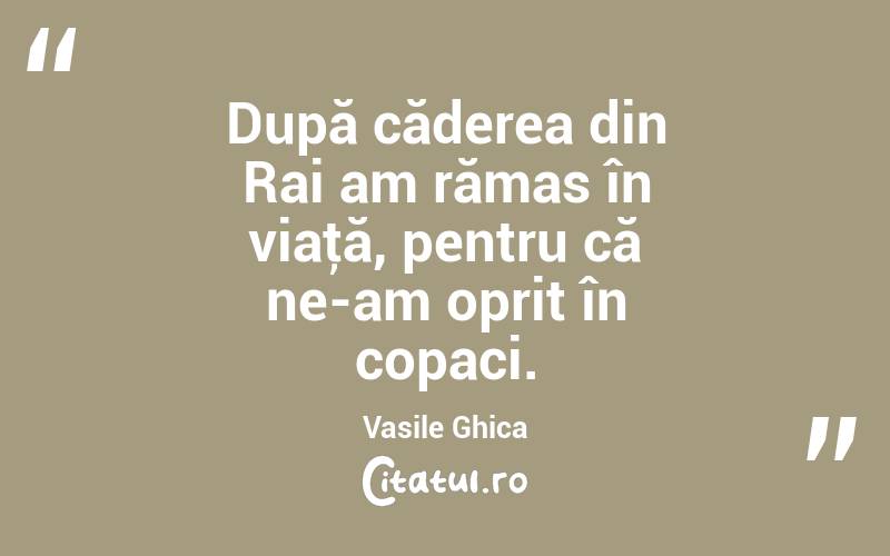 După căderea din Rai am rămas în viaţă, pentru că ne-am oprit în copaci. Vasile Ghica
