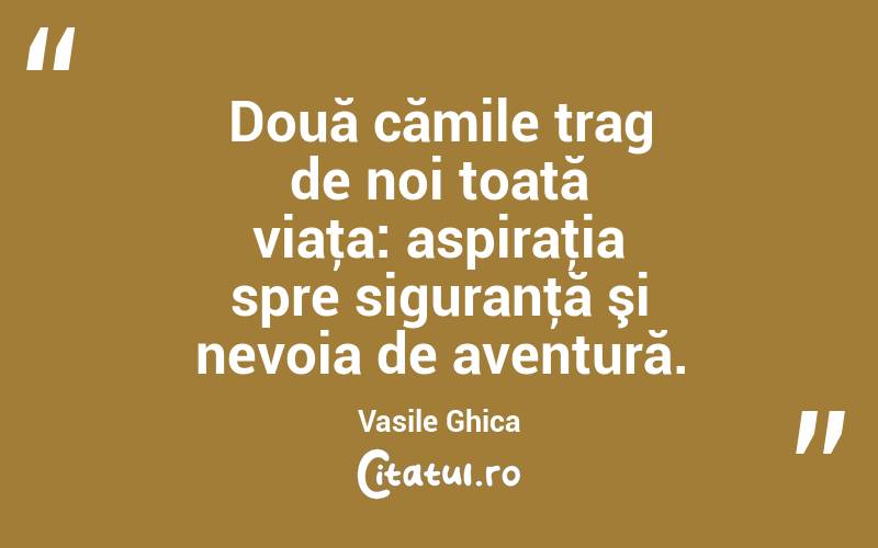 Două cămile trag de noi toată viaţa: aspiraţia spre siguranţă şi nevoia de aventură. Vasile Ghica
