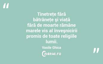 Tinetreţe fără bătrâneţe şi viaţă fără de moarte rămâne marele vis al înveşnicirii promis de toate religiile lumii. Vasile Ghica...
