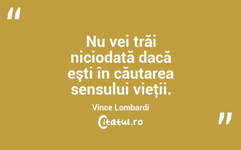 Nu vei trăi niciodată dacă eşti în căutarea sensului vieţii. Vince Lombardi
