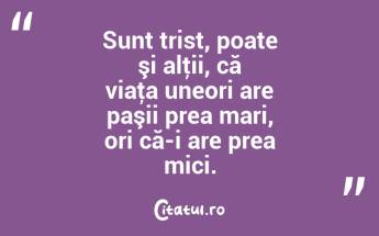 Sunt trist, poate şi alţii, că viaţa uneori are paşii prea mari, ori că-i are prea mici. ...