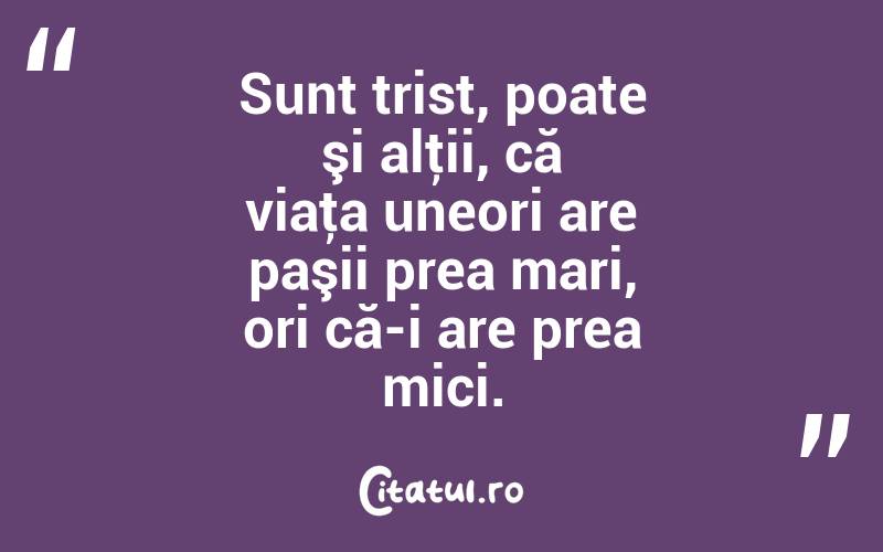 Sunt trist, poate şi alţii, că viaţa uneori are paşii prea mari, ori că-i are prea mici. 

