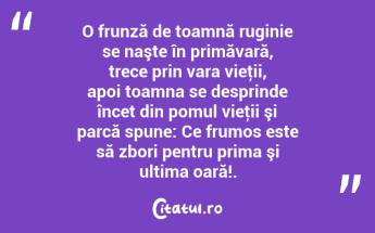 O frunză de toamnă ruginie se naşte în primăvară, trece prin vara vieţii, apoi toamna se desprinde încet din pomul vieţii şi parcă spune: Ce frumos este să zbori pentru prima şi ultima oară!. ...