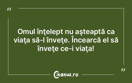 Omul înţelept nu aşteaptă ca viaţa ...