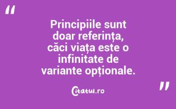 Principiile sunt doar referinţa, căci viaţa este o infinitate de variante opţionale. ...