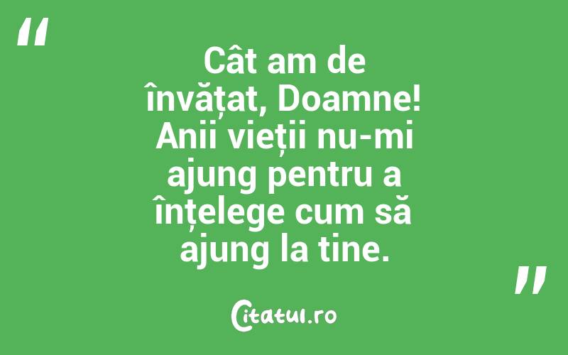 Cât am de învăţat, Doamne! Anii vieţii nu-mi ajung pentru a înţelege cum să ajung la tine. 
