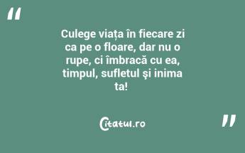 Culege viaţa în fiecare zi ca pe o floare, dar nu o rupe, ci îmbracă cu ea, timpul, sufletul şi inima ta! ...