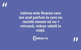Iubirea este floarea care are acel parfum la care nu rezistă nimeni să nu-l miroasă, măcar odată în viaţă. ...