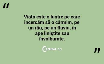 Viaţa este o luntre pe care încercăm să o cârmim, pe un râu, pe un fluviu, în ape liniştite sau învolburate. ...