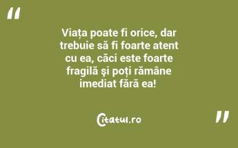 Viaţa poate fi orice, dar trebuie să fi foarte atent cu ea, căci este foarte fragilă şi poţi rămâne imediat fără ea! ...