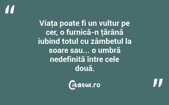 Viaţa poate fi un vultur pe cer, o furnică-n ţărână iubind totul cu zâmbetul la soare sau... o umbră nedefinită între cele două. ...