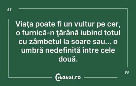 Viaţa poate fi un vultur pe cer, o furn...