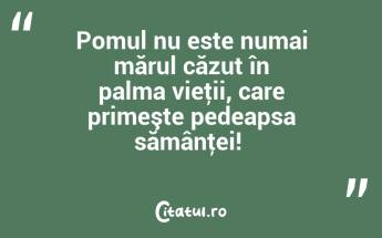 Pomul nu este numai mărul căzut în palma vieţii, care primeşte pedeapsa sămânţei! ...