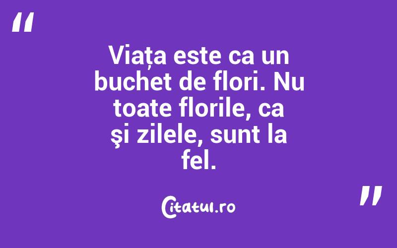 Viaţa este ca un buchet de flori. Nu toate florile, ca şi zilele, sunt la fel. 

