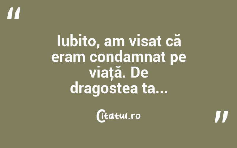 Iubito, am visat că eram condamnat pe viaţă. De dragostea ta... 
