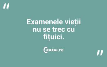 Examenele vieţii nu se trec cu fiţuici. ...