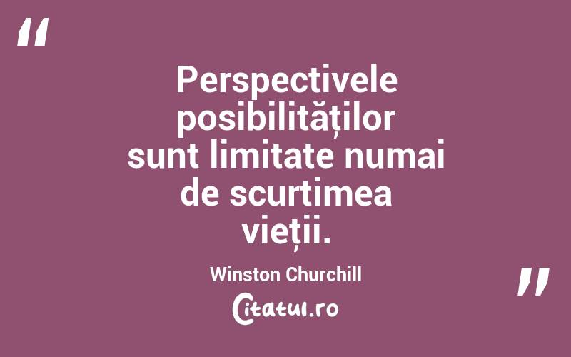 Perspectivele posibilităţilor sunt limitate numai de scurtimea vieţii. Winston Churchill