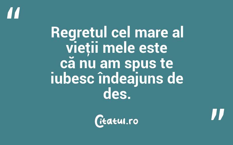 Regretul cel mare al vieţii mele este că nu am spus te iubesc îndeajuns de des. 