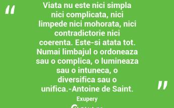 Viata nu este nici simpla nici complicata, nici limpede nici mohorata, nici contradictorie nici coerenta. Este-si atata tot. Numai limbajul o ordoneaza sau o complica, o lumineaza sau o intuneca, o diversifica sau o unifica.-Antoine de Saint. Exupery...